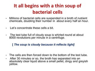 It all begins with a thin soup of
bacterial cells
- Millions of bacterial cells are suspended in a broth of nutrient
chemicals, doubling their number in about every half an hour.
- Let‟s concentrate these cells a bit.
- The test tube full of cloudy soup is whirled round at about
8000 revolutions per minute in a centrifuge.
[ The soup is cloudy because it reflects light]
- The cells are then forced down to the bottom of the test tube.
- After 30 minutes or so, the broth has separated into an
absolutely clear liquid above a small pellet, dingy and greyish
yellow.
 