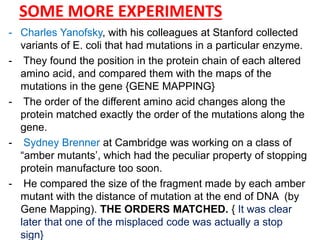 SOME MORE EXPERIMENTS
- Charles Yanofsky, with his colleagues at Stanford collected
variants of E. coli that had mutations in a particular enzyme.
- They found the position in the protein chain of each altered
amino acid, and compared them with the maps of the
mutations in the gene {GENE MAPPING}
- The order of the different amino acid changes along the
protein matched exactly the order of the mutations along the
gene.
- Sydney Brenner at Cambridge was working on a class of
“amber mutants‟, which had the peculiar property of stopping
protein manufacture too soon.
- He compared the size of the fragment made by each amber
mutant with the distance of mutation at the end of DNA (by
Gene Mapping). THE ORDERS MATCHED. { It was clear
later that one of the misplaced code was actually a stop
sign}
 