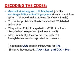 DECODING THE CODES:
- Marshall Nirenberg and J.H. Mattheaei, just like
Kornberg‟s DNA synthesizing system, devised a cell free
system that would make proteins (in vitro synthesis).
- To monitor protein synthesis they added 14C labeled
amino acids.
- They added Poly U (a synthetic mRNA) to a fresh
disrupted cell suspension (cell free extract).
- Most importantly, they noticed that only 14C
Phenylalanine was incorporated into protein.
- That meant UUU code in mRNA was for Phe.
- Similarly, they noticed…AAA = Lys, and CCC = Pro
 