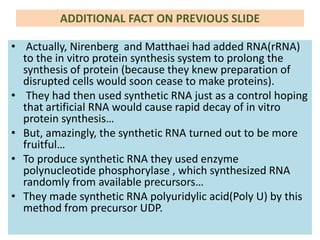 ADDITIONAL FACT ON PREVIOUS SLIDE
• Actually, Nirenberg and Matthaei had added RNA(rRNA)
to the in vitro protein synthesis system to prolong the
synthesis of protein (because they knew preparation of
disrupted cells would soon cease to make proteins).
• They had then used synthetic RNA just as a control hoping
that artificial RNA would cause rapid decay of in vitro
protein synthesis…
• But, amazingly, the synthetic RNA turned out to be more
fruitful…
• To produce synthetic RNA they used enzyme
polynucleotide phosphorylase , which synthesized RNA
randomly from available precursors…
• They made synthetic RNA polyuridylic acid(Poly U) by this
method from precursor UDP.
 