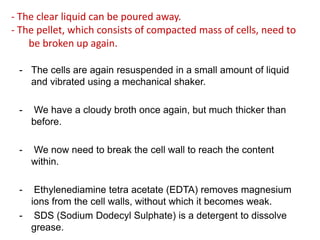 - The clear liquid can be poured away.
- The pellet, which consists of compacted mass of cells, need to
be broken up again.
- The cells are again resuspended in a small amount of liquid
and vibrated using a mechanical shaker.
- We have a cloudy broth once again, but much thicker than
before.
- We now need to break the cell wall to reach the content
within.
- Ethylenediamine tetra acetate (EDTA) removes magnesium
ions from the cell walls, without which it becomes weak.
- SDS (Sodium Dodecyl Sulphate) is a detergent to dissolve
grease.
 
