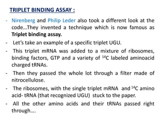 TRIPLET BINDING ASSAY :
- Nirenberg and Philip Leder also took a different look at the
code…They invented a technique which is now famous as
Triplet binding assay.
- Let’s take an example of a specific triplet UGU.
- This triplet mRNA was added to a mixture of ribosomes,
binding factors, GTP and a variety of 14C labeled aminoacid
charged tRNAs.
- Then they passed the whole lot through a filter made of
nitrocellulose.
- The ribosomes, with the single triplet mRNA and 14C amino
acid- tRNA (that recognized UGU) stuck to the paper.
- All the other amino acids and their tRNAs passed right
through….
 
