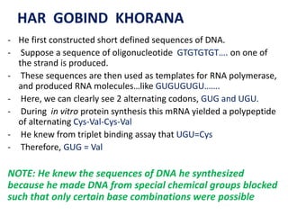 HAR GOBIND KHORANA
- He first constructed short defined sequences of DNA.
- Suppose a sequence of oligonucleotide GTGTGTGT…. on one of
the strand is produced.
- These sequences are then used as templates for RNA polymerase,
and produced RNA molecules…like GUGUGUGU…….
- Here, we can clearly see 2 alternating codons, GUG and UGU.
- During in vitro protein synthesis this mRNA yielded a polypeptide
of alternating Cys-Val-Cys-Val
- He knew from triplet binding assay that UGU=Cys
- Therefore, GUG = Val
NOTE: He knew the sequences of DNA he synthesized
because he made DNA from special chemical groups blocked
such that only certain base combinations were possible
 