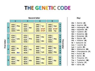 THE GENETIC CODE
 
