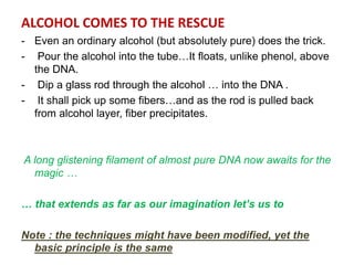 ALCOHOL COMES TO THE RESCUE
- Even an ordinary alcohol (but absolutely pure) does the trick.
- Pour the alcohol into the tube…It floats, unlike phenol, above
the DNA.
- Dip a glass rod through the alcohol … into the DNA .
- It shall pick up some fibers…and as the rod is pulled back
from alcohol layer, fiber precipitates.
A long glistening filament of almost pure DNA now awaits for the
magic …
… that extends as far as our imagination let’s us to
Note : the techniques might have been modified, yet the
basic principle is the same
 