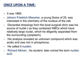 ONCE UPON A TIME:
- It was 1869.
- Johann Friedrich Miescher, a young Swiss of 25, was
interested in the chemistry of the nucleus of the cell.
- Discarded dressings from the local surgical clinic was his
source of nuclei ( as they contained WBCs which have
relatively large nuclei, which he diligently separated from
the surrounding cytoplasm).
- His analysis revealed an unknown compound which was
acidic and was rich in phosphorus.
- He called it nuclein.
- Richard Altman , his student, later coined the term nucleic
acid.
 
