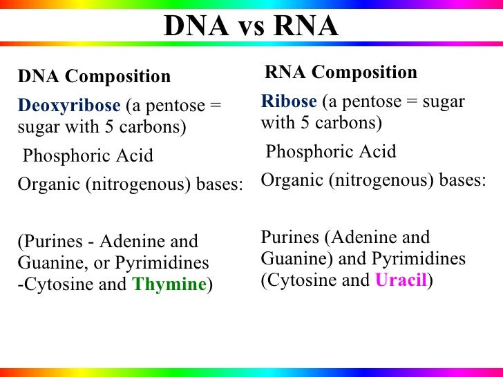 dna vs rna