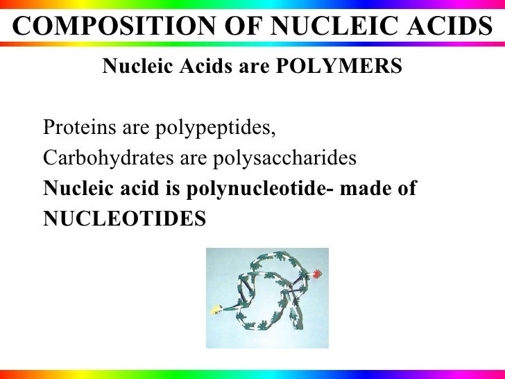 Nucleic acids