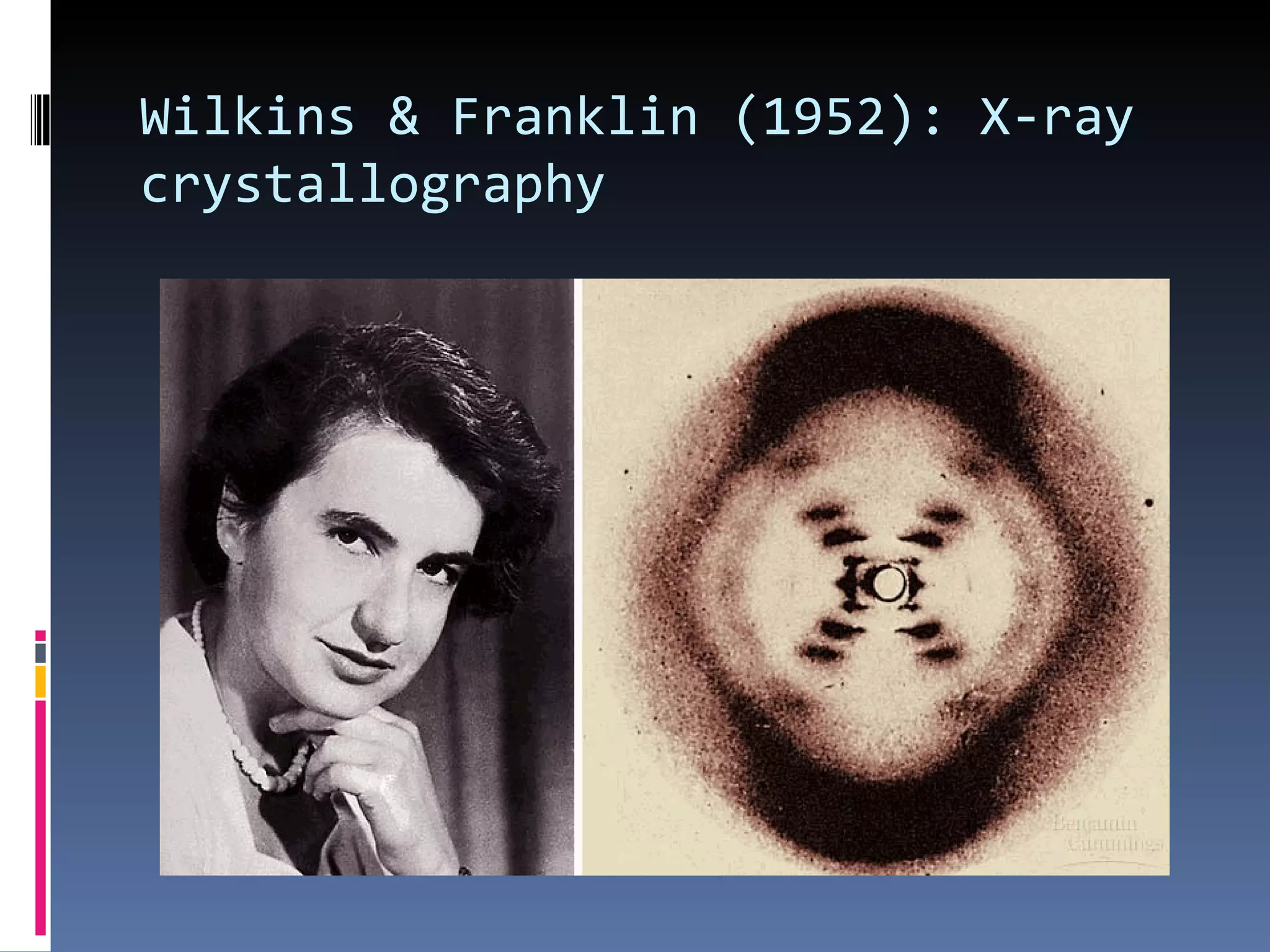 Wilkins & Franklin (1952): X-ray
crystallography
 