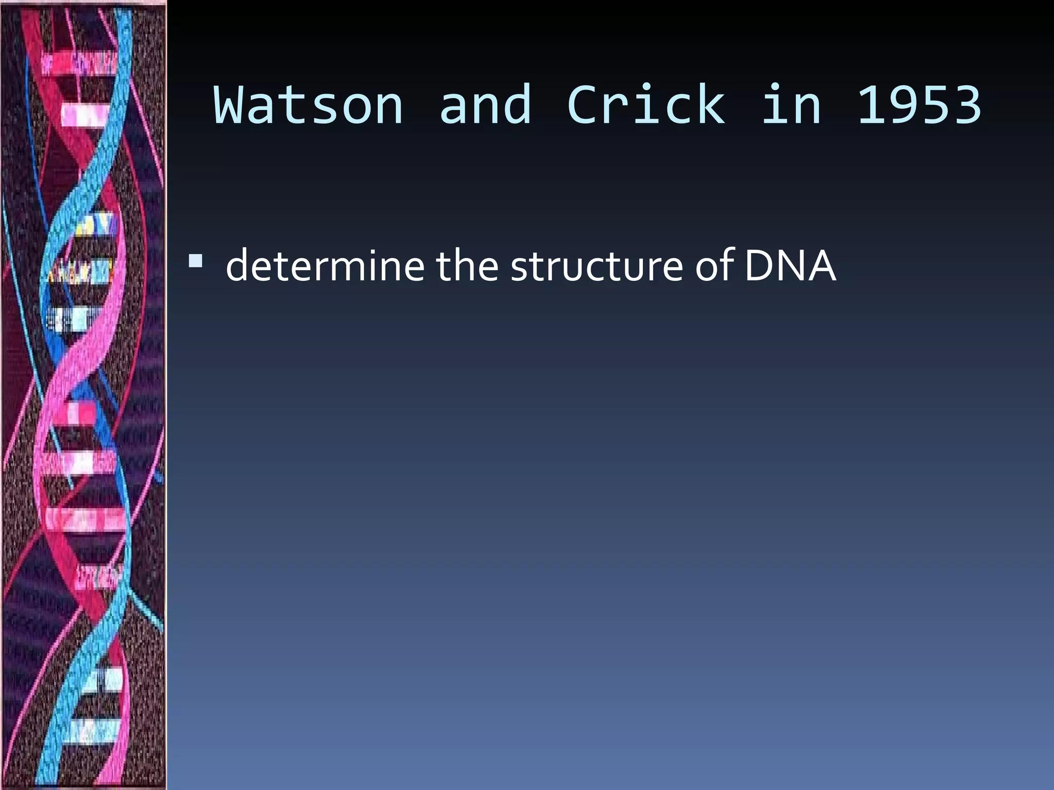 Watson and Crick in 1953

 determine the structure of DNA
 