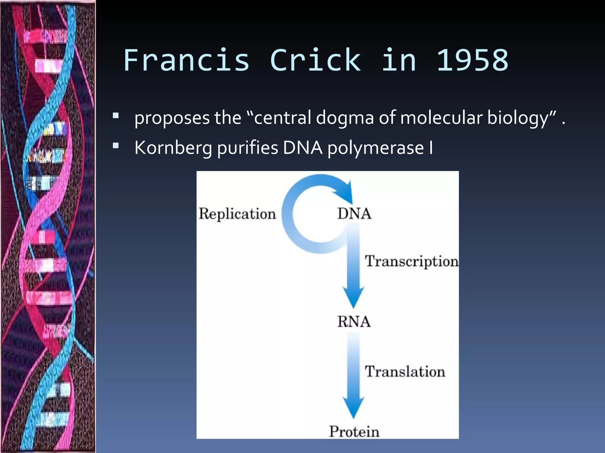 Francis Crick in 1958
 proposes the “central dogma of molecular biology” .
 Kornberg purifies DNA polymerase I
 