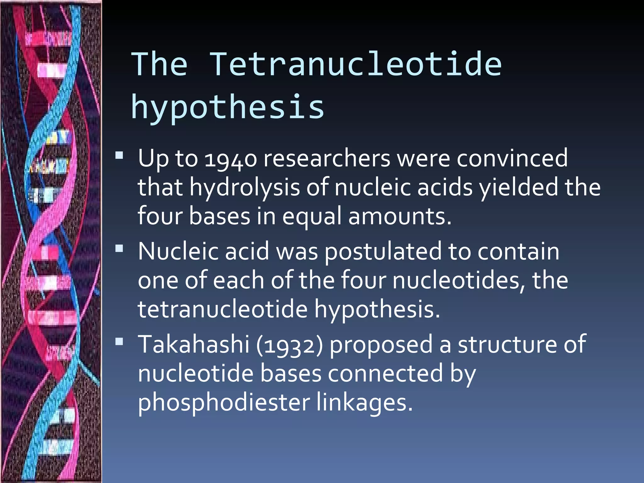The Tetranucleotide
 hypothesis
 Up to 1940 researchers were convinced
  that hydrolysis of nucleic acids yielded the
  four bases in equal amounts.
 Nucleic acid was postulated to contain
  one of each of the four nucleotides, the
  tetranucleotide hypothesis.
 Takahashi (1932) proposed a structure of
  nucleotide bases connected by
  phosphodiester linkages.
 