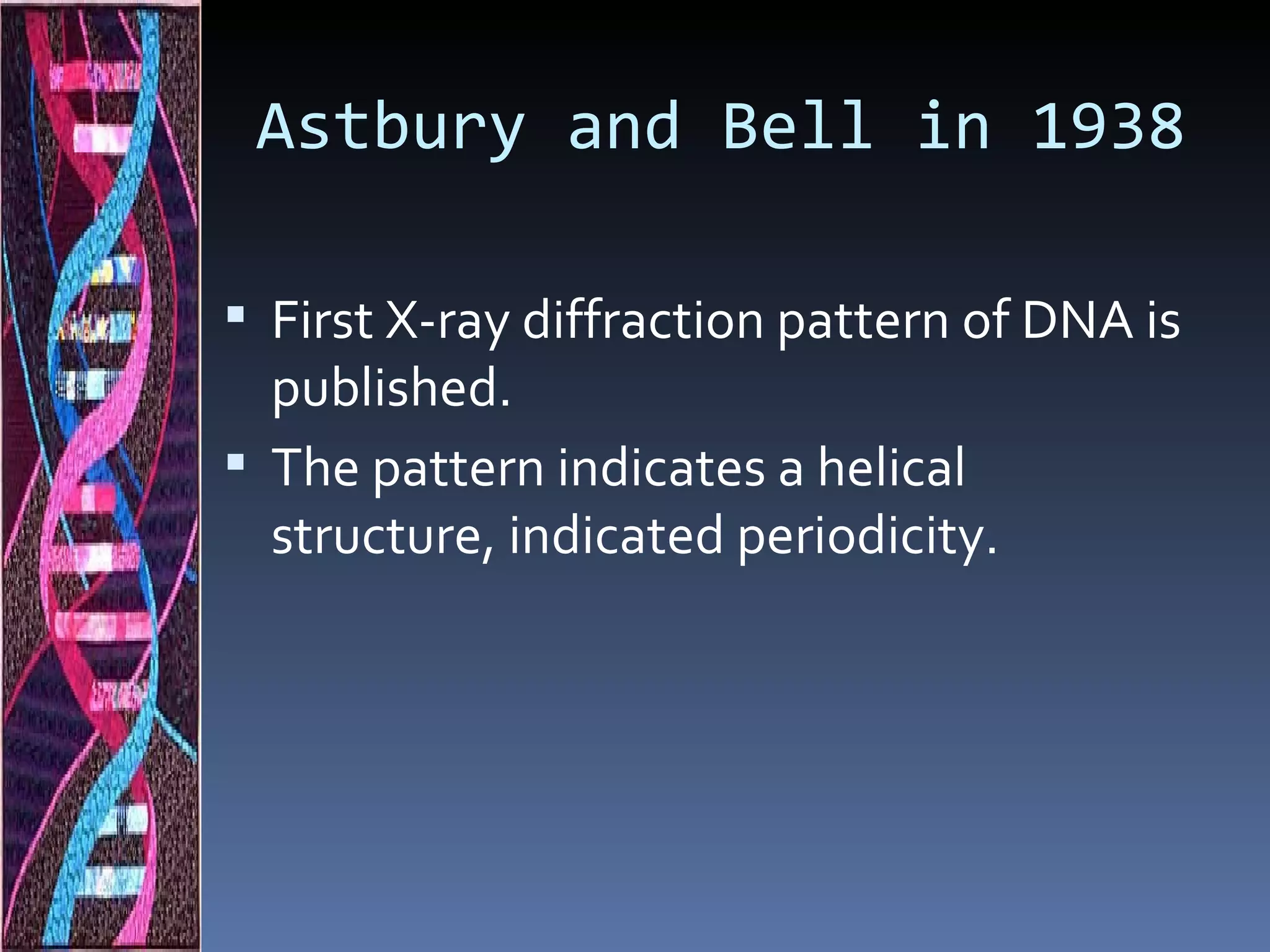 Astbury and Bell in 1938

 First X-ray diffraction pattern of DNA is
  published.
 The pattern indicates a helical
  structure, indicated periodicity.
 