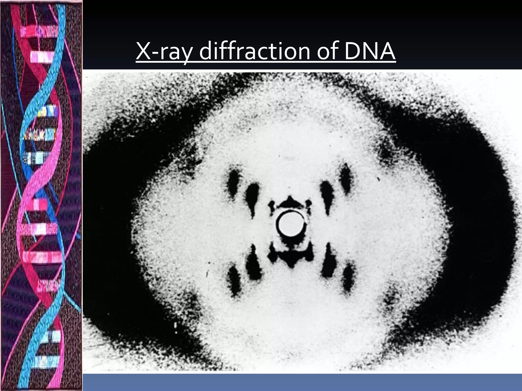 X-ray diffraction of DNA
 