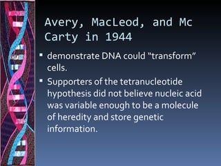 Avery, MacLeod, and Mc
 Carty in 1944
 demonstrate DNA could “transform”
  cells.
 Supporters of the tetranucleotide
  hypothesis did not believe nucleic acid
  was variable enough to be a molecule
  of heredity and store genetic
  information.
 