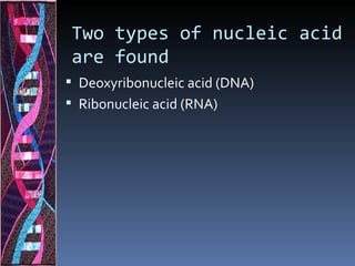 Two types of nucleic acid
are found
 Deoxyribonucleic acid (DNA)
 Ribonucleic acid (RNA)
 