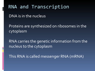 RNA and Transcription
DNA is in the nucleus

Proteins are synthesized on ribosomes in the
cytoplasm

RNA carries the genetic information from the
nucleus to the cytoplasm

This RNA is called messenger RNA (mRNA)
 