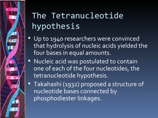 The Tetranucleotide
 hypothesis
 Up to 1940 researchers were convinced
  that hydrolysis of nucleic acids yielded the
  four bases in equal amounts.
 Nucleic acid was postulated to contain
  one of each of the four nucleotides, the
  tetranucleotide hypothesis.
 Takahashi (1932) proposed a structure of
  nucleotide bases connected by
  phosphodiester linkages.
 