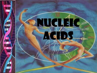 NUCLEIC
 ACIDS
 