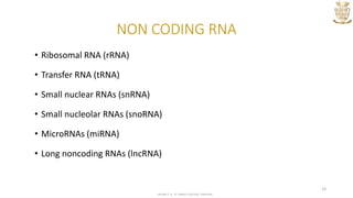 Nucleic acids structure & function | PPTX
