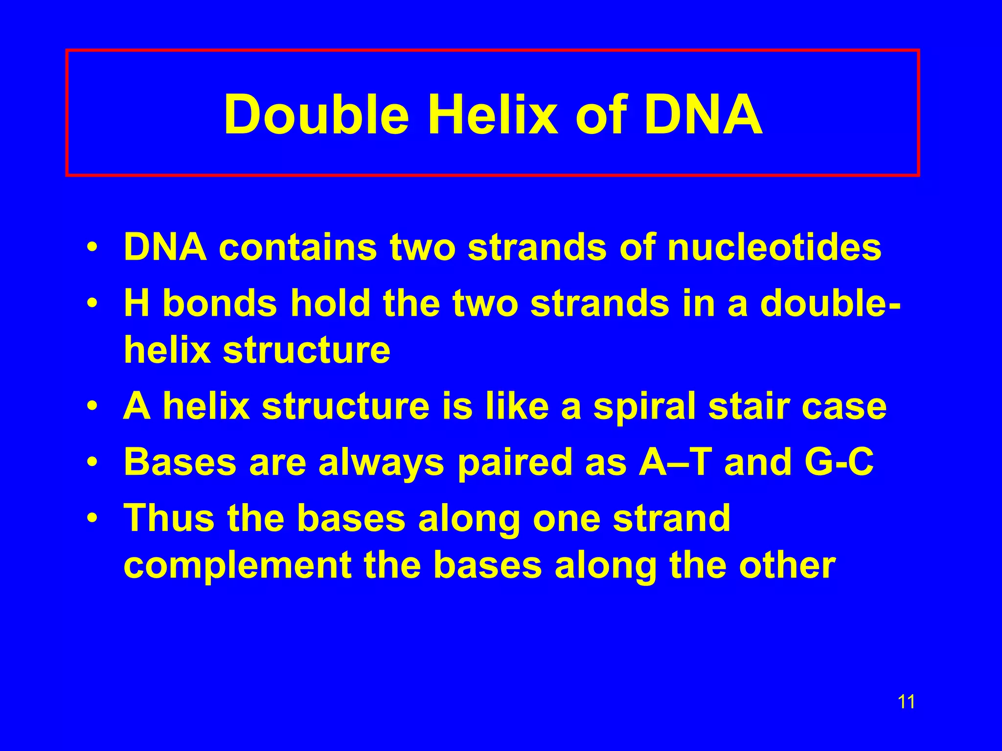 11
Double Helix of DNA
• DNA contains two strands of nucleotides
• H bonds hold the two strands in a double-
helix structure
• A helix structure is like a spiral stair case
• Bases are always paired as A–T and G-C
• Thus the bases along one strand
complement the bases along the other
 
