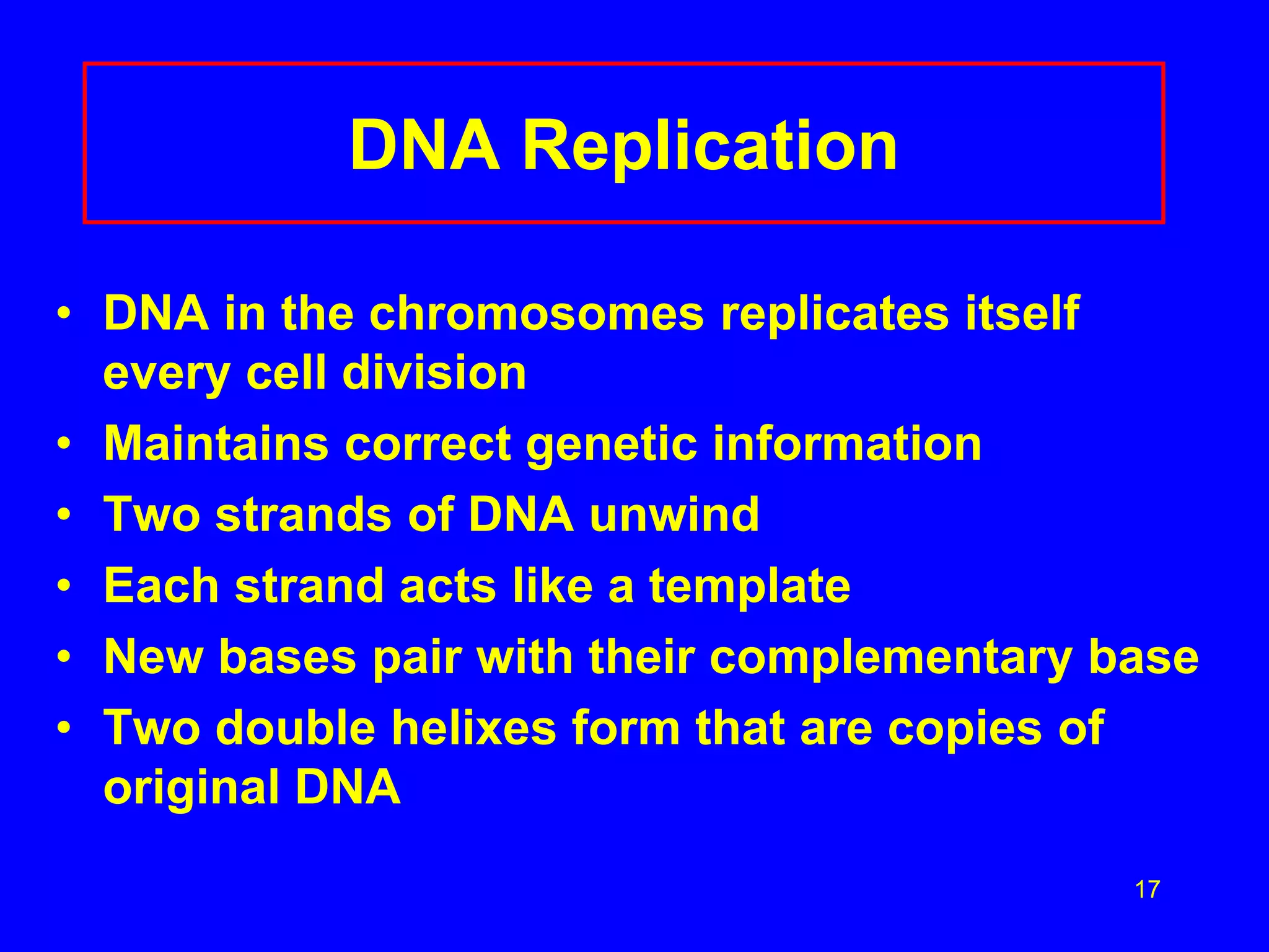 17
DNA Replication
• DNA in the chromosomes replicates itself
every cell division
• Maintains correct genetic information
• Two strands of DNA unwind
• Each strand acts like a template
• New bases pair with their complementary base
• Two double helixes form that are copies of
original DNA
 