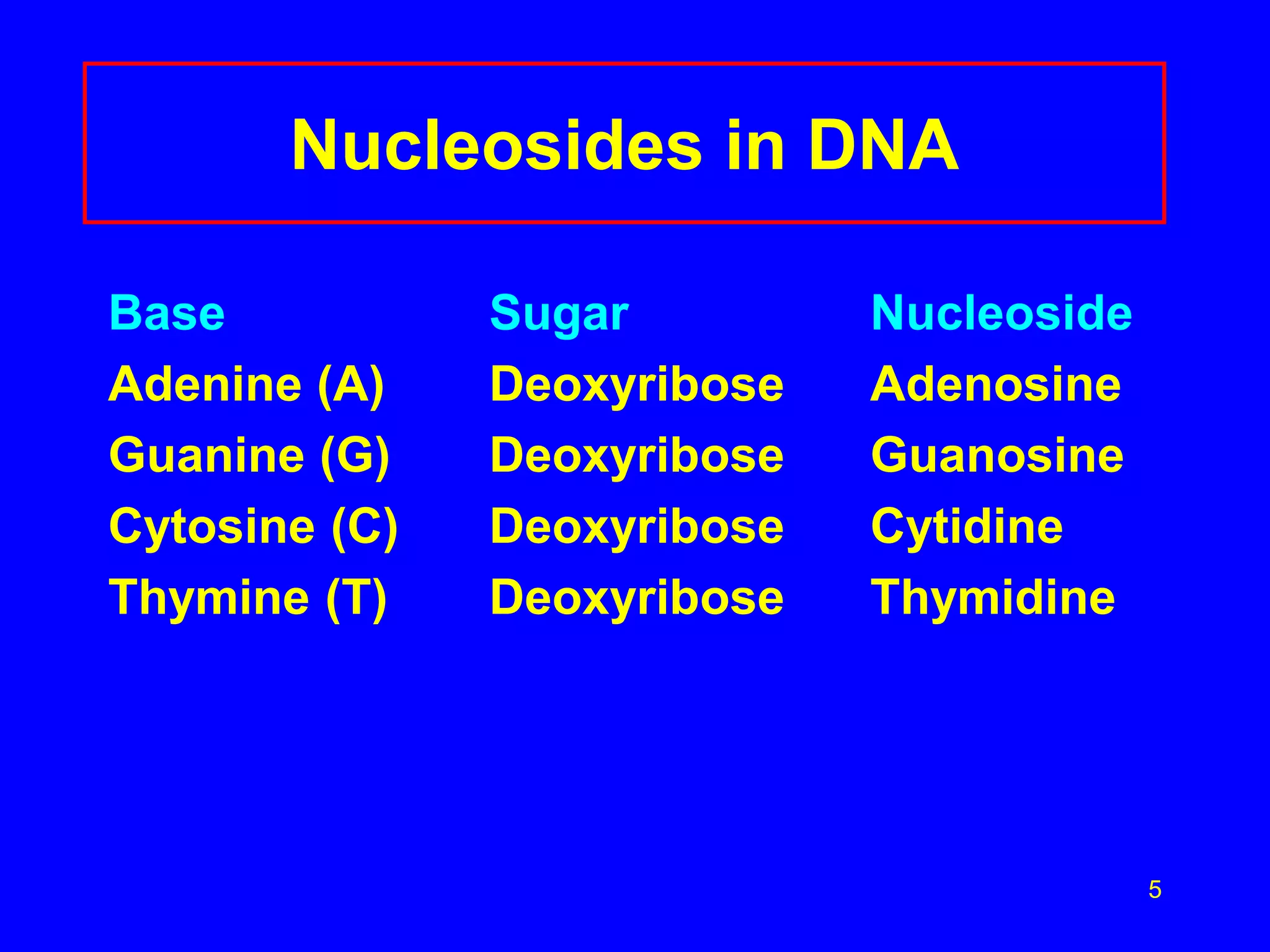 5
Nucleosides in DNA
Base Sugar Nucleoside
Adenine (A) Deoxyribose Adenosine
Guanine (G) Deoxyribose Guanosine
Cytosine (C) Deoxyribose Cytidine
Thymine (T) Deoxyribose Thymidine
 