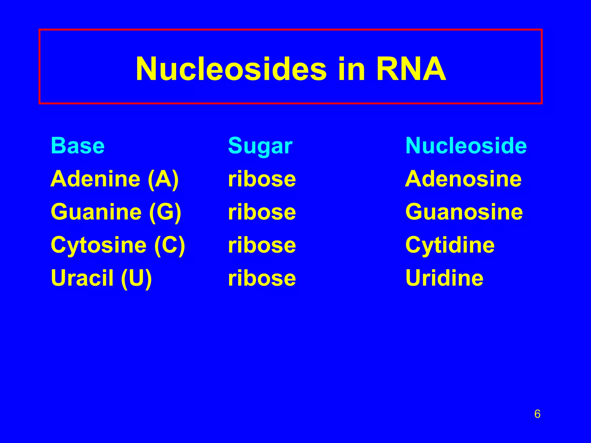 6
Nucleosides in RNA
Base Sugar Nucleoside
Adenine (A) ribose Adenosine
Guanine (G) ribose Guanosine
Cytosine (C) ribose Cytidine
Uracil (U) ribose Uridine
 