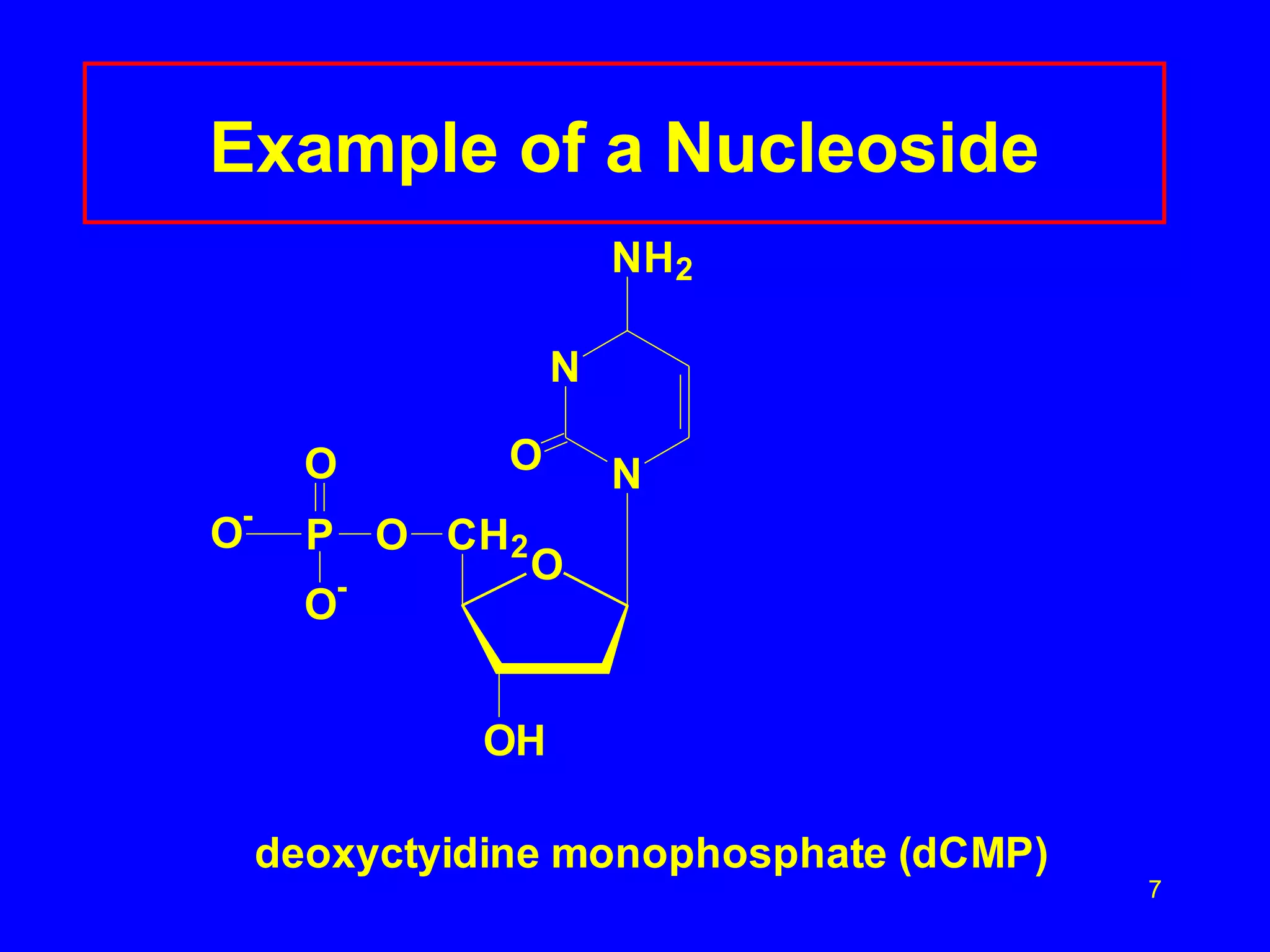7
Example of a Nucleoside
O
OH
N
N
NH2
O
CH2
O
P
O
O
-
O-
deoxyctyidine monophosphate (dCMP)
 