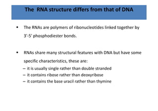 The  RNA structure differs from that of DNA

The RNAs are polymers of ribonucleotides linked together by 
3'‐5' phosphodiester bonds. 


RNAs share many structural features with DNA but have some 
specific characteristics, these are:
– it is usually single rather than double stranded
  it is usually single rather than double stranded 
– it contains ribose rather than deoxyribose
– it contains the base uracil rather than thymine
  it contains the base uracil rather than thymine 
 