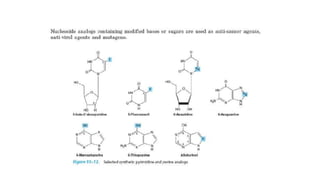 NUCLEIC ACIDS of chemistry in bio organic chemistry | PDF