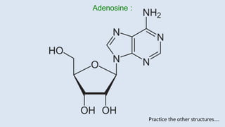 Adenosine :
Practice the other structures….
 