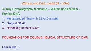 Watson and Crick model (B - DNA)
X- Ray Crystallography technique – Wilkins and Franklin –
Purified DNA.
1. Multistranded fibre with 22 Ao Diameter.
2. Gaps at 34 Ao.
3. Repeating units at 3.4Ao.
FOUNDATION FOR DOUBLE HELICAL STRUCTURE OF DNA
Lets watch…!
 