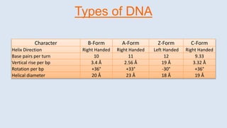 Character B-Form A-Form Z-Form C-Form
Helix Direction Right Handed Right Handed Left Handed Right Handed
Base pairs per turn 10 11 12 9.33
Vertical rise per bp 3.4 Å 2.56 Å 19 Å 3.32 Å
Rotation per bp +36° +33° -30° +36°
Helical diameter 20 Å 23 Å 18 Å 19 Å
Types of DNA
 