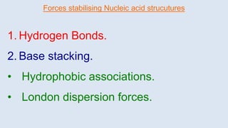 Forces stabilising Nucleic acid strucutures
1. Hydrogen Bonds.
2. Base stacking.
• Hydrophobic associations.
• London dispersion forces.
 