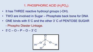 • It has THREE reactive hydroxyl groups (-OH).
• TWO are involved in Sugar – Phosphate back bone for DNA
• ONE binds with 5’ C and the other 3’ C of PENTOSE SUGAR
- Phospho Diester Linkage.
• 5’ C – O – P – O – 3’ C
1. PHOSPHORIC ACID (H3PO4).
 