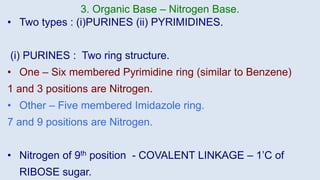 • Two types : (i)PURINES (ii) PYRIMIDINES.
(i) PURINES : Two ring structure.
• One – Six membered Pyrimidine ring (similar to Benzene)
1 and 3 positions are Nitrogen.
• Other – Five membered Imidazole ring.
7 and 9 positions are Nitrogen.
• Nitrogen of 9th position - COVALENT LINKAGE – 1’C of
RIBOSE sugar.
3. Organic Base – Nitrogen Base.
 