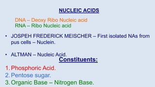 Nucleic acids and chromosomes