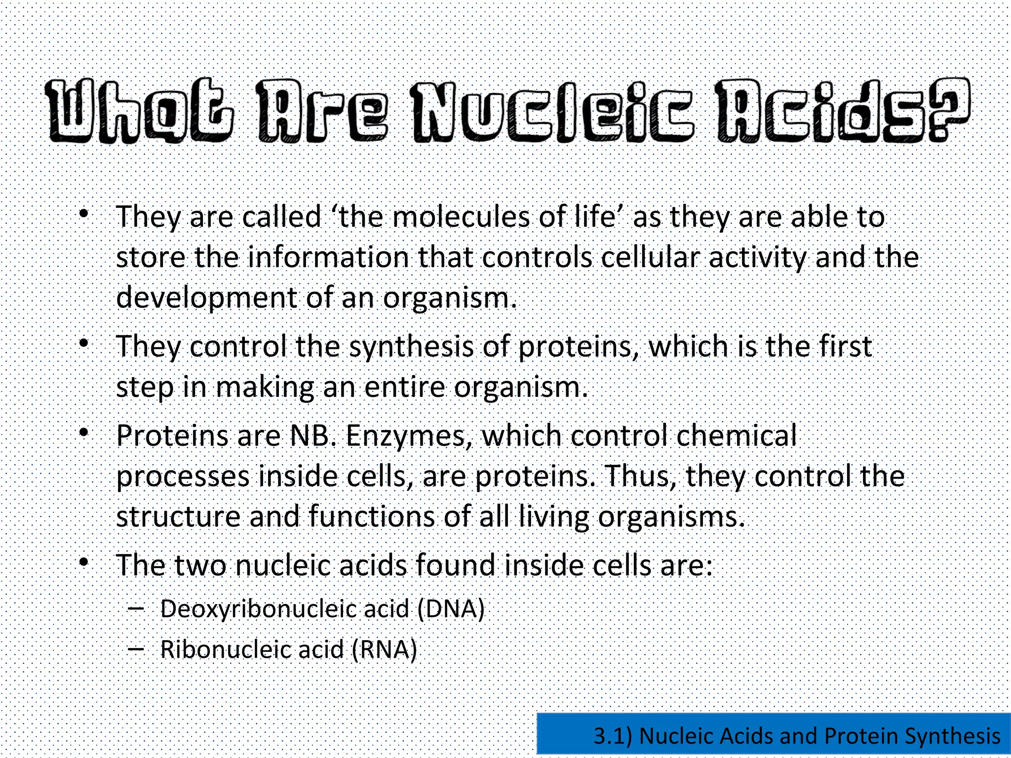 Nucleic acids and protein synthesis | PPT