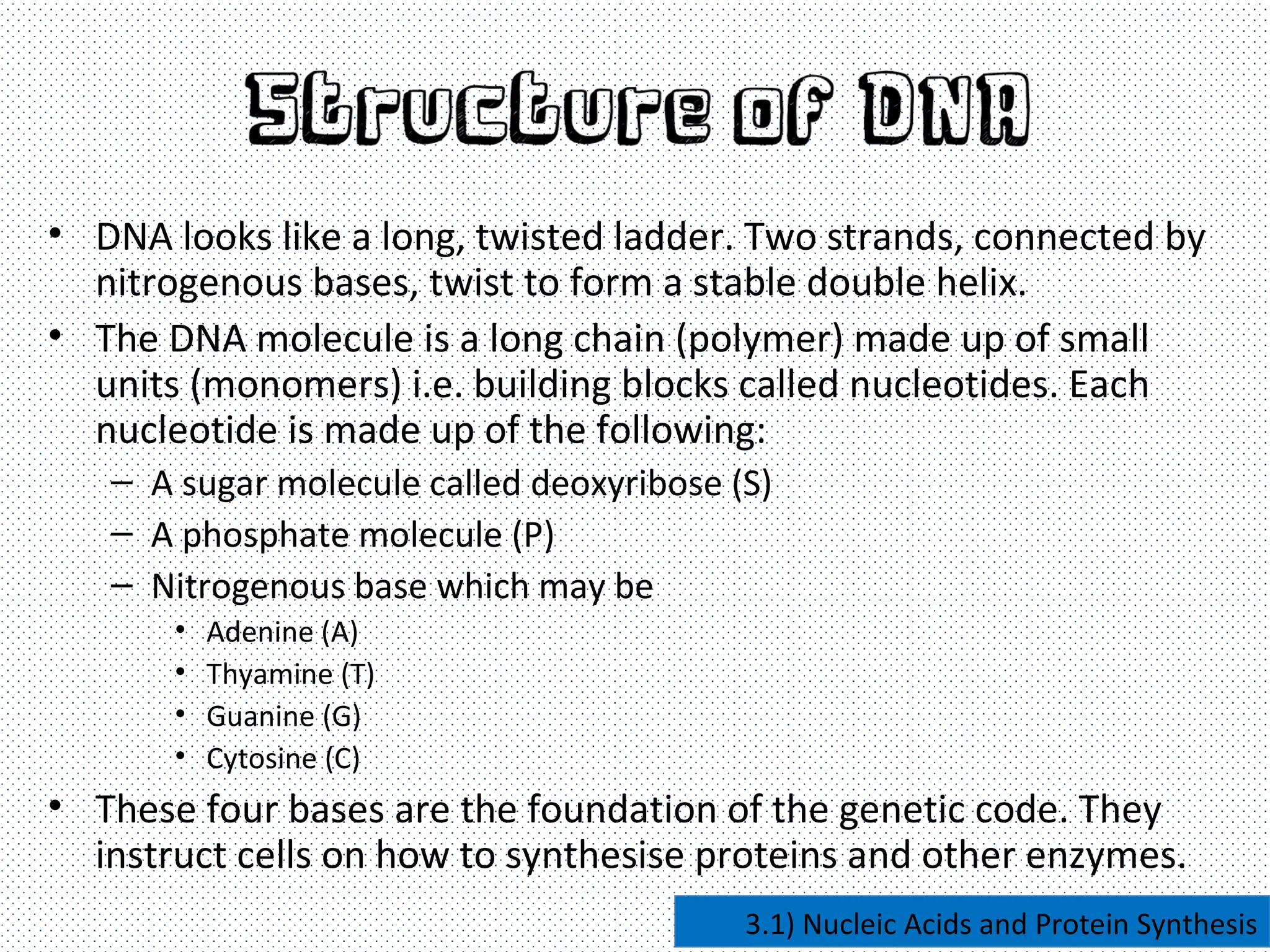 Nucleic acids and protein synthesis | PPT