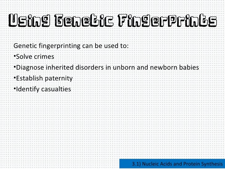 nucleic acids and protein synthesis nucleic acids and protein synthesis
