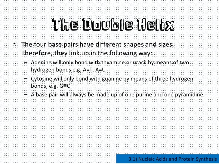 nucleic acids and protein synthesis
