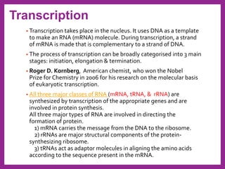 Nucleic acids and protein synthesis | PDF