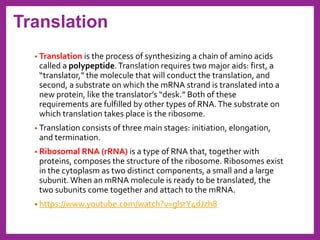 Nucleic acids and protein synthesis | PDF