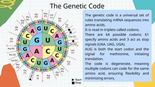 Nucleic Acids and Protein Synthesis.pptx