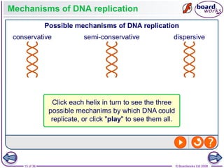 Nucleic Acids and the Genetic Code boardworks AS Level Biology | PPT