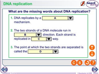 Nucleic Acids and the Genetic Code boardworks AS Level Biology | PPT