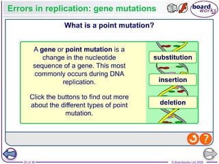 Nucleic Acids and the Genetic Code boardworks AS Level Biology | PPT