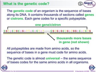 Nucleic Acids and the Genetic Code boardworks AS Level Biology | PPT
