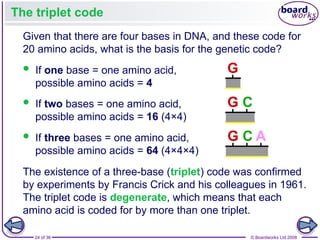 Triplet Coding Nucleic Acids and the Genetic Code boardworks AS Level Biology | PPT